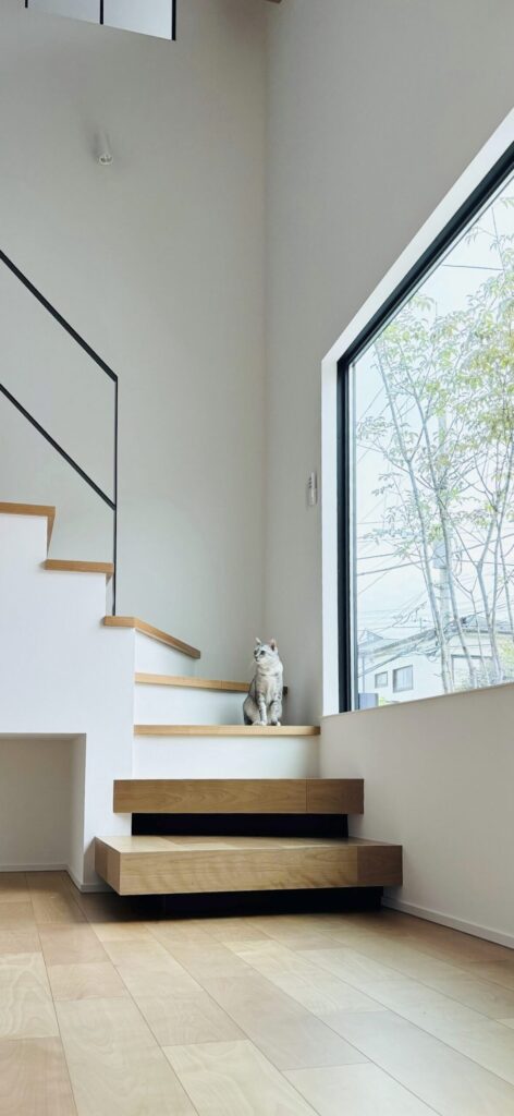 猫がくつろぐ吹き抜け階段